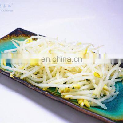 Organic Yellow Mung Bean Sprout IQF Frozen Soy Bean Sprout