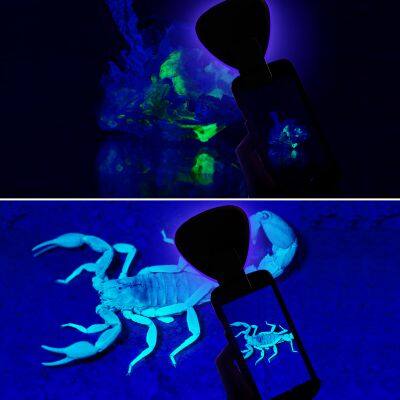 Detachable Night Light 5W LED Cool White Rechargeable Flashlight Amber Mood Night Light CE ROHS photo-5