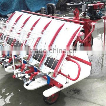 WALKING RICE TRAN PLANTER 4 6 8 rows