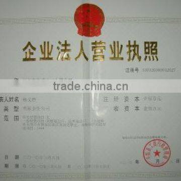 Business License