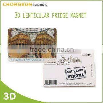 3D Lenticular Fridge Magnet, Tourist Fridge Magnet, Souvenir Fridge Magnet photo-4