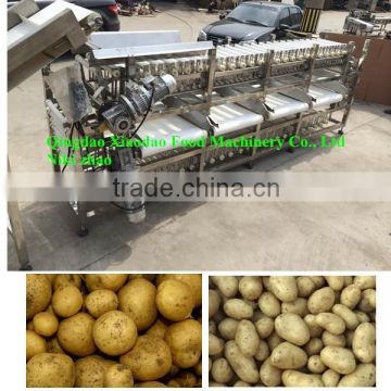 automatic onion /potato grading machine / sorting machine,vegetable sorter/grader machine