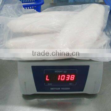 FROZEN PANGASIUS FILLET