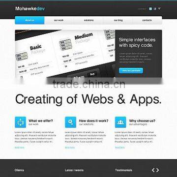 offshore web development