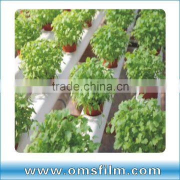 Hydroponics panda film and nutrient film