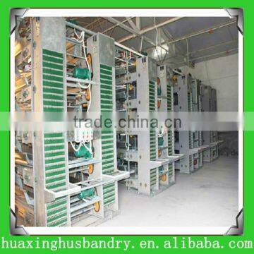 Quail Cage with Full accessories China Manufacturer