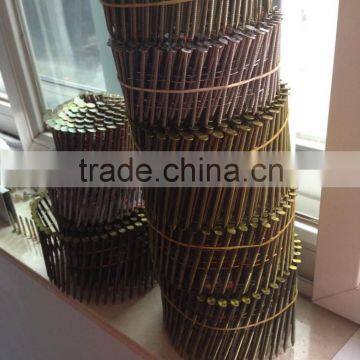 china coil nails manufacture top quality coil roofing nails