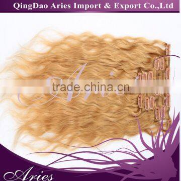 Clip-in Hair Extension Natural Human Hair Soft Remy Brazilian Hair Product with Clip in