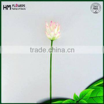 Pitaya Flowers Artificial Flowers Product