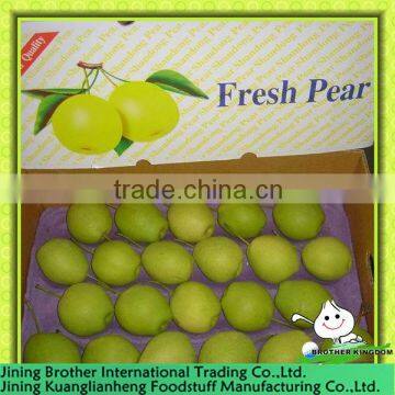 China shandong pear 15kg carton