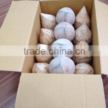 Organic Nam Hong (Pagoda Young) Coconuts