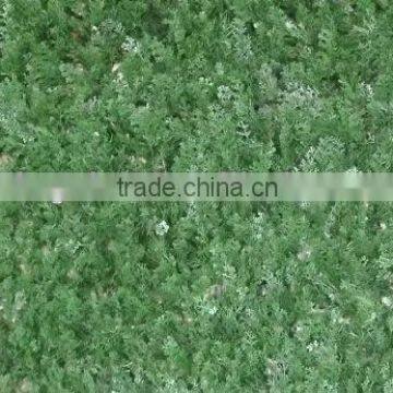 antique metal garden fence 2013 low price supply all kinds of garden fence gardening