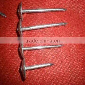 65mm Galvanized Roofing Nails With Umbrella Head photo-2