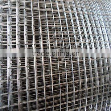 hot dipped galvanized bird cage welded wire mesh roll