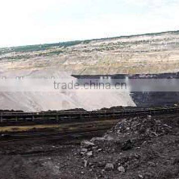 Conveyor Belt for Continuous Ship Unloaders and Shiploading of Bulk Materials photo-4
