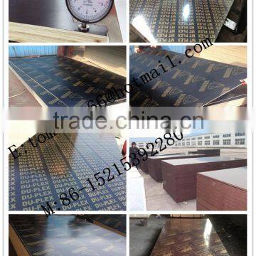 one time/two time hot press 18mm brown/black/ film faced plywood linyi china factory