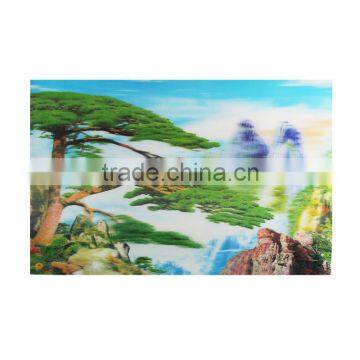 wholesale home decoration 3d flip pictures