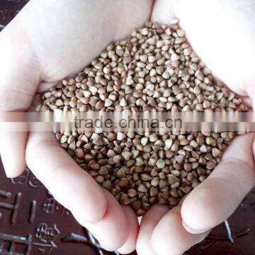 New Crop Chinese Roasted Buckwheat Kernel Brown Color Small Packing photo-2