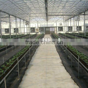 multi-span hydroponic agricultural film greenhouse