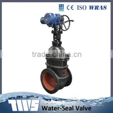 DN40-DN600 Electric Actuated Gate Valve