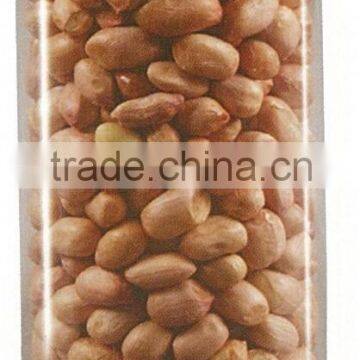 Groundnut Kernels-Java