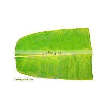 Banana Leaf