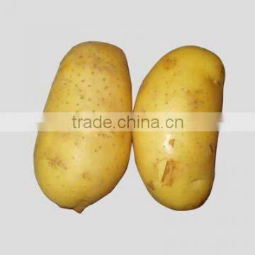 fresh potatoes