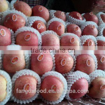 Red Fuji Apples/100-125/138-198 photo-2