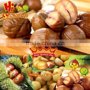 Vacuum Packed Roasted Chestnut Kernel Snacks For Sale