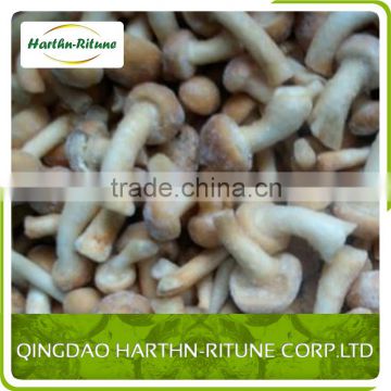 Frozen mushroom cultivated nameko