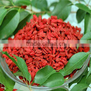 dried fruit goji berries of goji