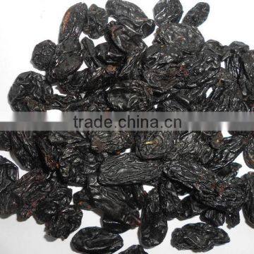 TOP QUALITY INDIAN BLACK RAISIN