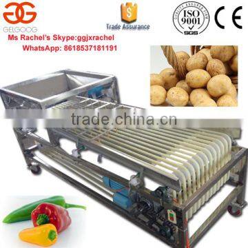 Professional Commercial Apple Sorting Machine Potato Sorting Machine