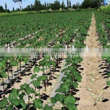Farm Irrigation System Driptape t Tape