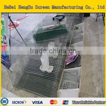 Galvanized Steel Wire Cage for Mink Breeding