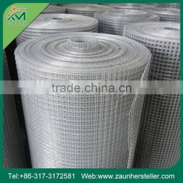 Get $1000 Coupon China Supplier Mesh Vegetable photo-4