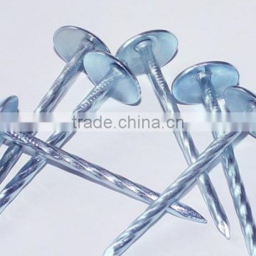 china roofing nails