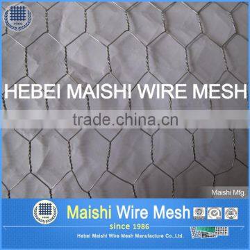 Bird Netting Galvanzied/PVC Coated Wire Netting photo-3