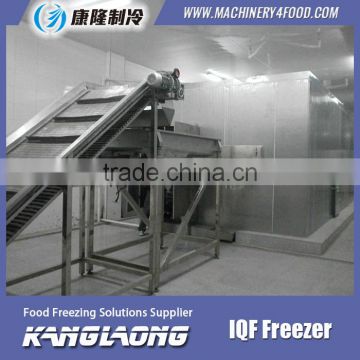 Large Capacity Walk In Cooler Freezer With Good PrIce