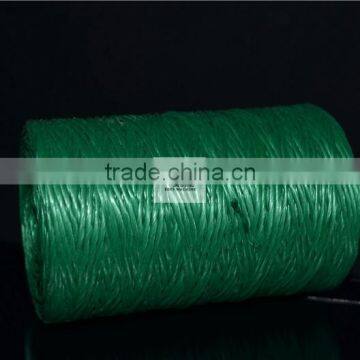 Plastic Folding Pp Extruder Pe Twine Making Split Film Machine photo-3