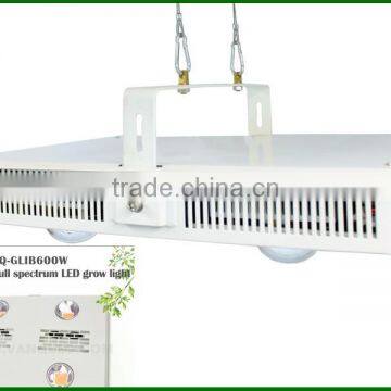 Vanq full spectrum 600W COB led grow light for hydroponic grow tent