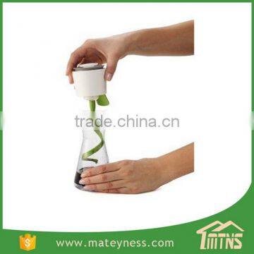 Emulsifier and Salad Dressing Mixer photo-5