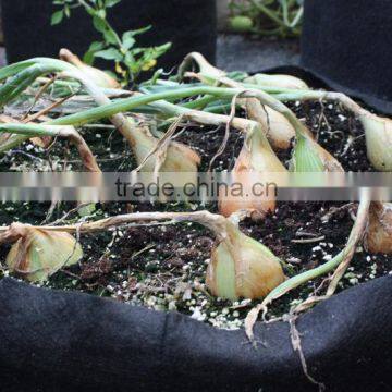 Potato Planter