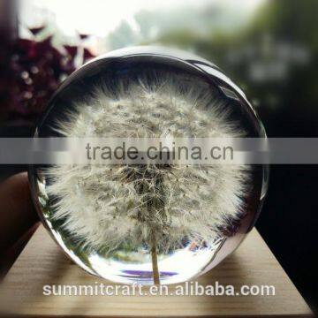 Custom Real Dandelion Paperweight Gift photo-2
