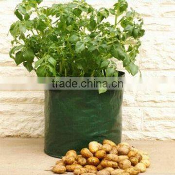 Garden Tomato Planter Bags