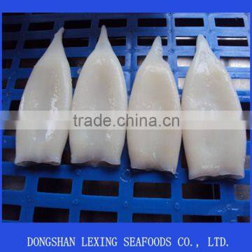 Frozen Squid Tube