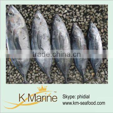 China Wholesale Frozen Seafood