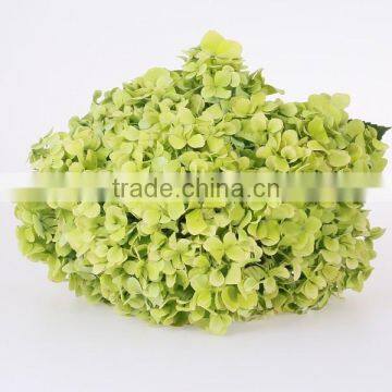 Single Stem Hydrangea Flowers Export Fresh Cut Hydrangea Banquets For Wedding Decoration photo-3