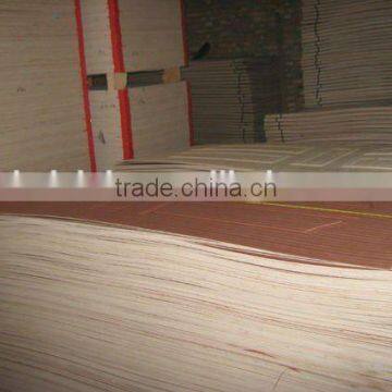 Sapel Engineer Wood Veneered Plywood Mould Door Skin 5 Panels photo-3