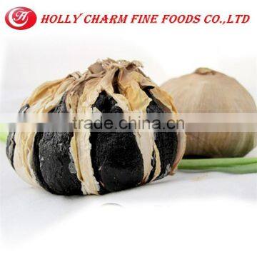 100:1Pure Fermented Black Garlic Powder photo-6